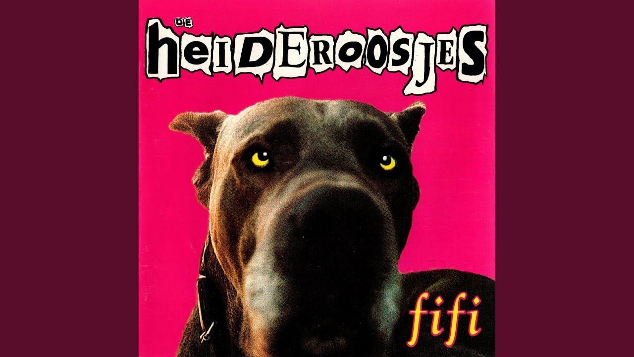 Heideroosjes - Klapvee! akkoorden