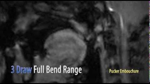 Video Footage of MRI Harmonica Bending Study with David Barrett and Stanford University