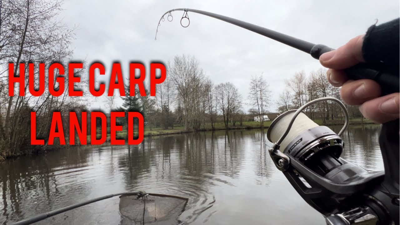 IT HAS BEEN OVER 2 YEARS AND I CATCH A HUGE CARP 100 DAYS SOBER it-has-been-over-2-years-and-i-catch-a-huge-carp-100-days-sober