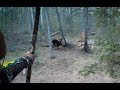 SaskaTrad Spring Bear | Traditional Archery Spring Bear Hunt