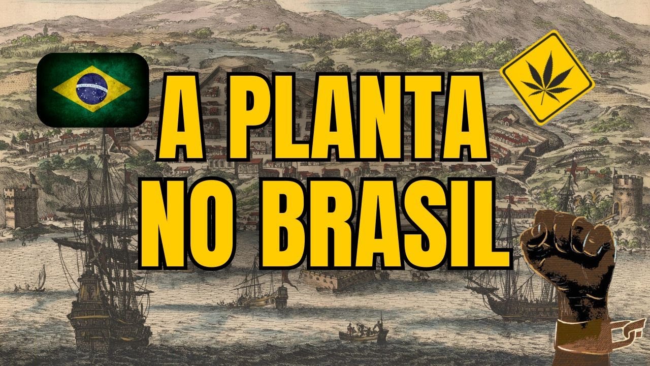 História da Maconha no Brasil: Da Chegada à Proibição