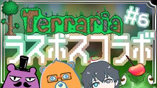 【#terraria 】#6 ！！ノーマルのラスボス倒す！！[メロタ・ペポン視点]【VTuber/コラボ配信/HIGE帽/三雲穿ノ介/山野ヒグマル】