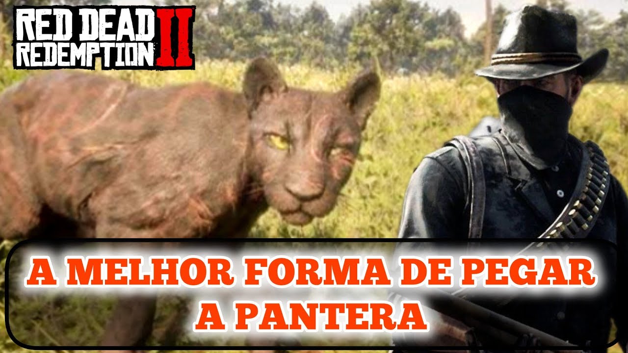 PANTERA PELE PERFEITA - A MELHOR FORMA DE PEGAR - RED DEAD REDEMPTION 2 ...