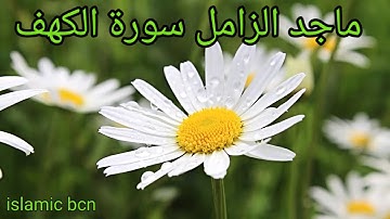 ماجد الزامل سورة الكهف / Majed Al-Zamil sourat Al-Kahf