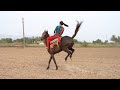 Ajj ye bharti ko girane vali hai...#horse_riding