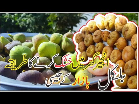 Anjeer ghar main Khushk karne ka Tareeqa | how to dry figs at home like commercially |kamran vlogs|