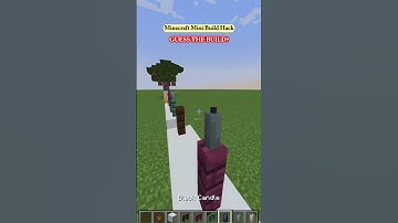 Minecraft Crazy Build Hack... #96