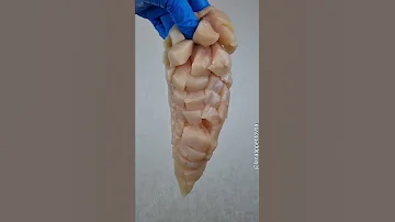Вместо шашлыка, дедушка научил готовить нереально вкусную куриную грудку! Быстро и вкусно из курицы