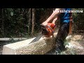 tutorial...cara buat papan saiz 1x6x10ft..orang sabah style