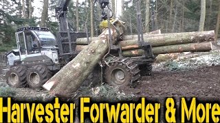 Download Lagu Logset 5F GT | Big Tree MP3 Download Lagu Logset 5F GT | Big Tree MP3