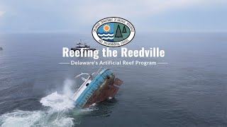 Reefing the Reedville