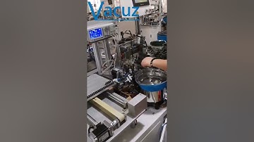 Automatic UU9.8 10.5 Filter Transformer Bobbin Coil Iron Core Insertion Testing Plating Machine Sale