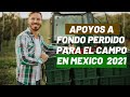 APOYOS A FONDO PERDIDO PARA EL CAMPO EN MEXICO 2021