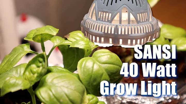 Sansi 40 watt LED grow light review
