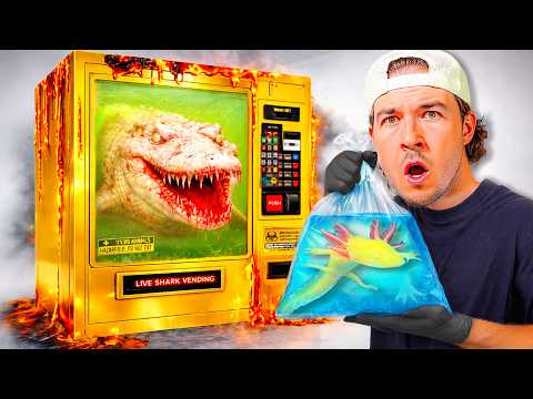 I Bought Dangerous Fish From A Live Fish Vending Machine 