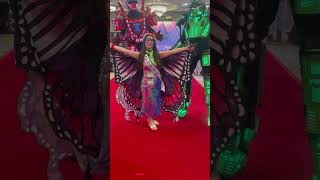 IMG 4317