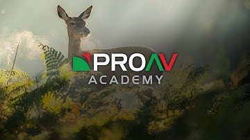 What is RAW? | Tech Terms with Alister Chapman | ProAV Academy