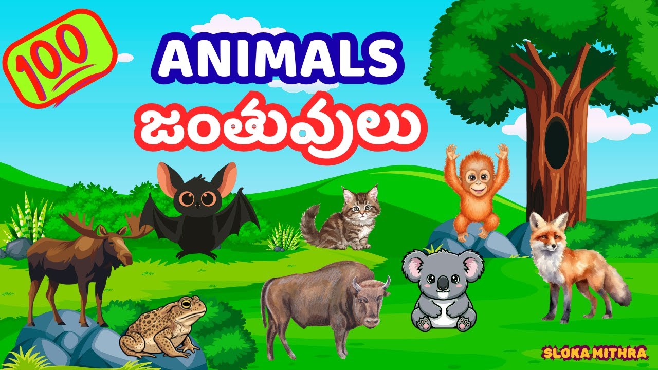 Названия животных на английском и телугу | Обучающее видео для детей | Шлокамитра