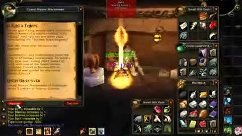 1 - 70 In 5 days 8 hours World Record - WoW Leveling Guide!