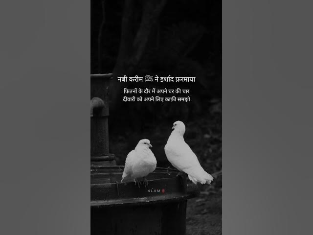 #india #viral #viralvideo #video #viralshorts#trending #youtubeshorts #trendingshorts#reels#youtube