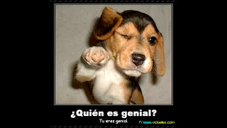 Download lagu Dj Power Nacional Dj Power Nacional