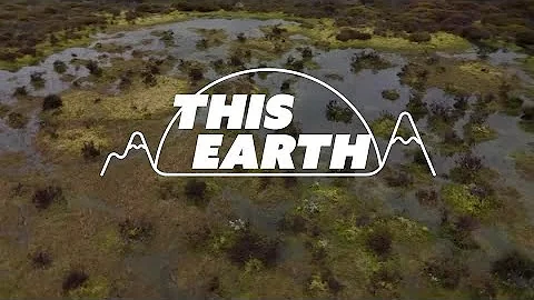 Fragile Andes wetlands crucial to water, electricity for millions | REUTERS