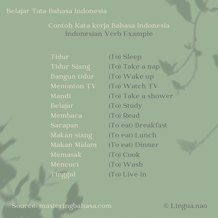 Learn Indonesian: Indonesian Verb Example 🇲🇨