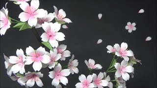 （ペーパーフラワー）可愛い！コピー用紙で桜の花の作り方【DIY】(Paper Flower) Cute! Cherry Blossom