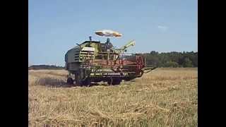 Moisson orge 2013 Claas Consul
