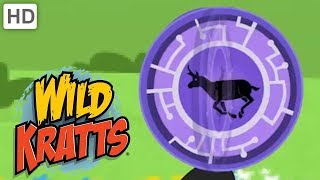 Wild Kratts Dangerous Creature Moments Kids Videos