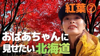 【紅葉⑦】おばあちゃんに見せたい北海道★