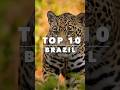 Most Incredible Destinations in Brazil | Travel Top 10 Cinemated Shorts