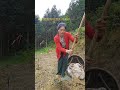 Dirt & Exhaustion: My Farming Life Unfiltered
