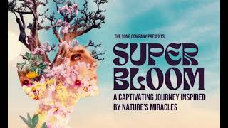 The Song Company | Superbloom