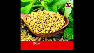 ଅସଧୟ ରଗର ମକତ ପଇ ମଥ ହ ରମ ବଣ ...