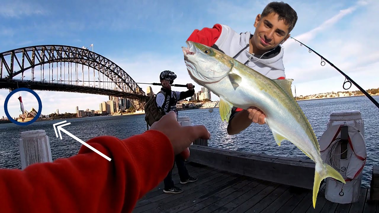 BIG KINGFISH, LIGHT TACKLE Fishing Sydney Harbour YouTube