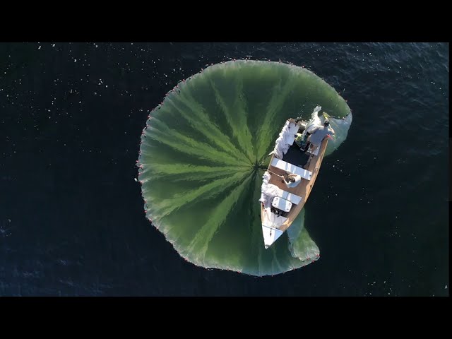 Large purse seine net being loaded onto research vessel, Cordova