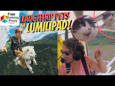 Kung HIndi ITO NAKUNAN sa video Walang Maniniwala 😂😂 Amazing Animals Flying