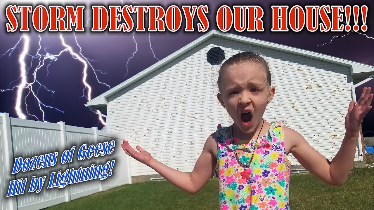 skits aadi Worst Hail Storm Ever Destroys Our House and Geese Get Struck by Lightning!!! (Not Clickbait)
