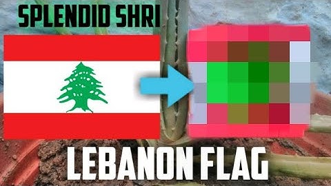 Learn to make Lebanon Flag in Rubik
