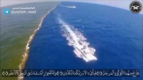 الحاجز بين البحرين ، سبحان الله وبحمده ، تلاوة القارئ يسلم بن وبر