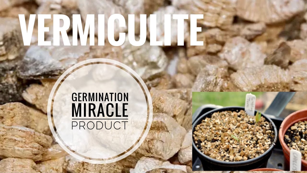 Vermiculite 47gram VERMICULITE for SEED STARTING & GREENHOUSE SUPPLIES 