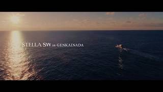 SHIMANO STELLA SW 2019 | Kingfish in Genkainada, Japan