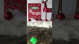 What Fab Five Surprise Toys Will I Get  Dollar Tree Blind Bags ! Asmr ! #shorts