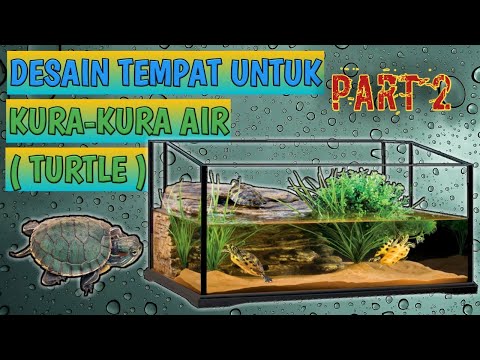680+ Desain Aquarium Kura Kura Brazil Terbaru