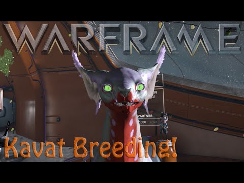 Warframe - Kavat Breeding Basics