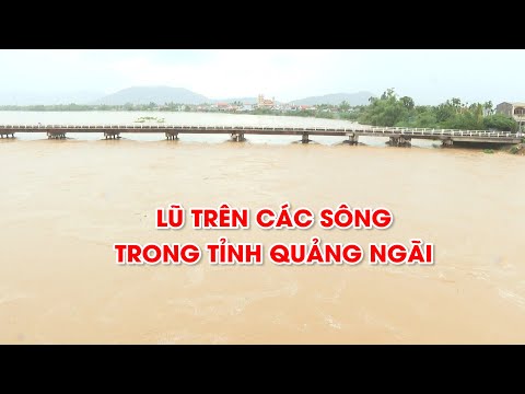 Truyền Hình Quảng Ngãi - Cập nhật lũ trên các sông trong tỉnh Quảng Ngãi | PTQ