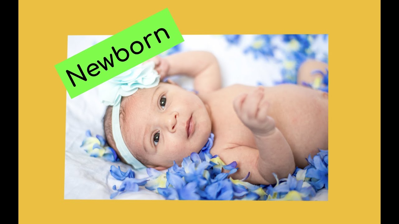 Miami Newborn and Baby Photographer