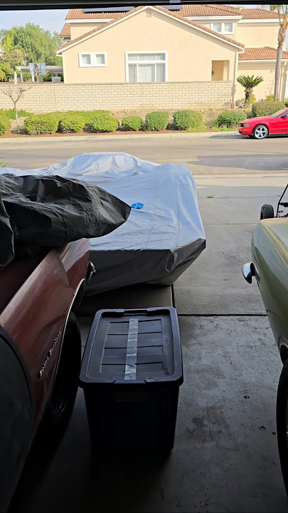 Starting Them Young!