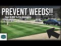 Your GUIDE To Pre Emergents // What They DO and DON'T Do For Your Lawn